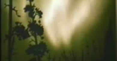 Rare & Amazing Footage Reportedly of Fatima Sun Miracle & Powerful Commentary by Friar!