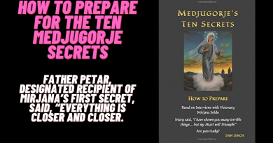 New Book:  How to Prepare for Medjugorje’s Ten Secrets