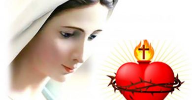 Medjugorje: 10 Powerful Messages from The Queen of Peace on the devotion to her Immaculate Heart. Read these today!