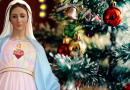 Medjugorje: The two messages of Our Lady expected for Christmas day.