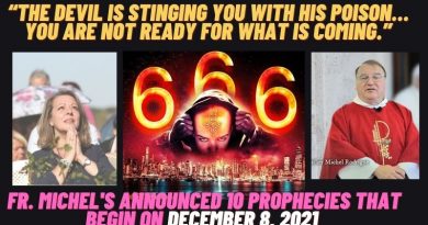 Fr. Michel Rodrigue’s 10 prophecies that begin on December 8, 2021  – “The Devil is stinging you with Poison”