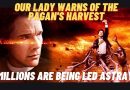 Medjugorje Today: Our Lady Warns of the “Pagan’s Harvest” Millions Are Being Led Astray