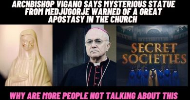 Medjugorje: New Video from Mystic Post TV: Archbishop Vigano says Mysterious statue from Medjugorje Warned of a great APOSTASY in the church