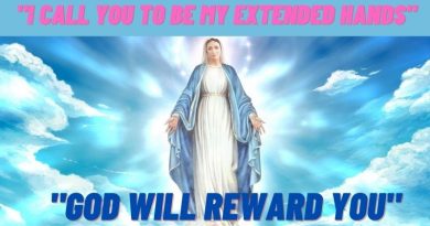Here is How Our Lady is Asking Us for Help: “Be my extended hands”