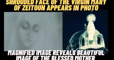 SHROUDED FACE OF THE VIRGIN MARY OF ZEITOUN APPEARS IN PHOTO | MAGNIFIED IMAGE REVEALS MIRACLE