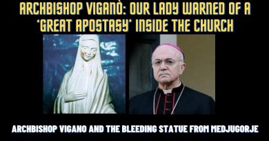 Archbishop Viganò: Our Lady warned of ‘great apostasy’ inside Church followed by risk of World War III  Did mysterious statue from Medjugorje reveal the future of the world.