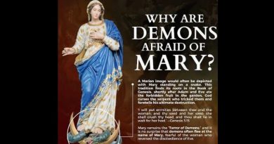 Why are Demons Afraid of Mary? (THE POWER TO CUT OFF THE SEVEN DEADLY HEADS OF THE ANCIENT SERPENT.)