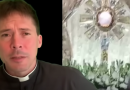 New Eucharistic Miracle in Mexico – Fr. Mark Goring Weighs in on Sign From Heaven ￼￼