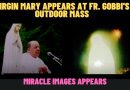 VIRGIN MARY APPEARS TO HUGE CROWD AT FR. GOBBI’S OUTDOOR MASS – MIRACLE IMAGE EMERGES.￼￼