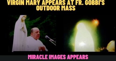 VIRGIN MARY APPEARS TO HUGE CROWD AT FR. GOBBI’S OUTDOOR MASS – MIRACLE IMAGE EMERGES.￼￼