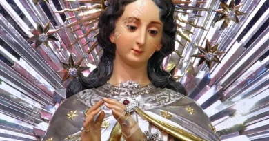 Mary Immaculate, Protector of the unborn children
