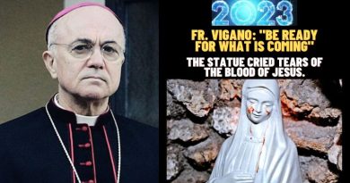 FR. VIGANO: “BE READY FOR WHAT IS COMING” – THE STATUE CRIED TEARS OF THE BLOOD OF JESUS.