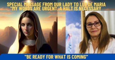 SPECIAL MESSAGE FROM OUR LADY TO LUZ DE MARIA “MY WORDS ARE URGENT, A HALT IS NECESSARY”