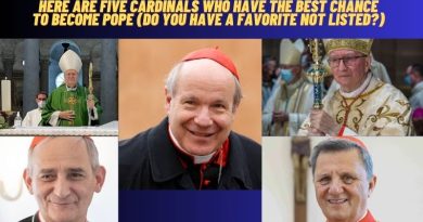 HERE ARE FIVE CARDINALS WHO HAVE THE BEST CHANCE TO BECOME POPE (DO YOU HAVE A FAVORITE NOT LISTED?)