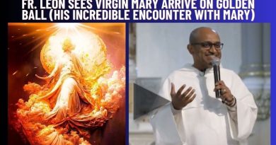 FR. LEON SEES VIRGIN MARY ARRIVE ON GOLDEN BALL (HIS INCREDIBLE ENCOUNTER WITH MARY)