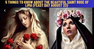 5 THINGS TO KNOW ABOUT THE BEAUTIFUL SAINT ROSE OF LIMA (Feast Day August 23)