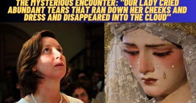 THE MYSTERIOUS ENCOUNTER: “OUR LADY CRIED ABUNDANT TEARS THAT RAN DOWN HER CHEEKS AND DRESS AND DISAPPEARED INTO THE CLOUD”