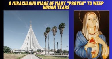 A MIRACULOUS IMAGE OF MARY “PROVEN” TO WEEP HUMAN TEARS