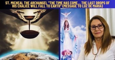 ST. MICHEAL THE ARCHANGEL “THE TIME HAS COME… THE LAST DROPS OF HIS CHALICE WILL FALL TO EARTH” (Message to Luz de Maria)