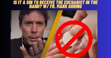 Is it a Sin to Receive the Eucharist in the Hand? w/ Fr. Mark Goring