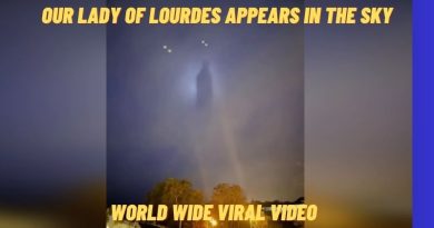 Our Lady of Lourdes Appears In the Sky