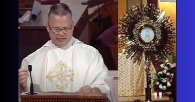MARY’S MIRACLE AND THE EUCHARIST, A MIRACLE HAPPENED: OUR LADY APPEARED IN THE HOST – PRIEST CONFIRMS APPARITION