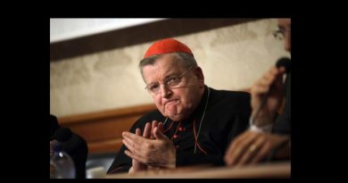 Pope punishes leading critic Cardinal Burke in action against conservative American prelates