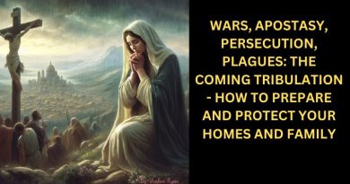 WARS, APOSTASY, PERSECUTION, PLAGUES: THE COMING TRIBULATION –  HOW TO PREPARE AND PROTECT YOUR HOMES AND FAMILY