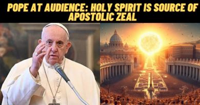 Pope at Audience: Holy Spirit is source of apostolic zeal