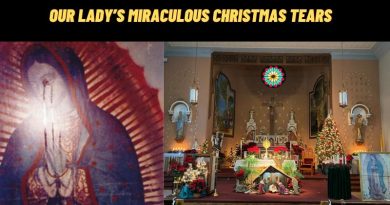 Our Lady’s Miraculous Christmas Tears