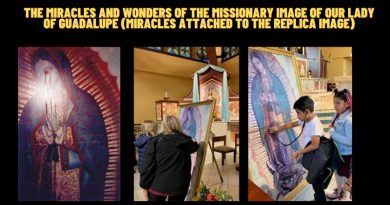 The Miracles and Wonders of The Missionary Image of Our Lady of Guadalupe (Miracles attached to the replica image)