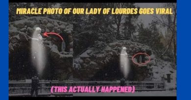 IN MIRACLE PHOTO –  OUR LADY OF LOURDES APPEARS IN THE SNOW AND GOES VIRAL –