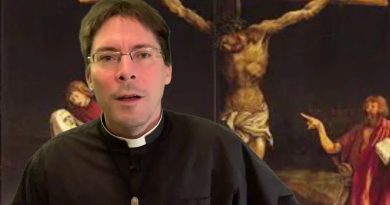 Priest Calls Visionaries “PACK OF LIARS” – B.V. Mary’s Response… – Fr. Mark Goring, CC