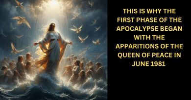 THIS IS WHY THE FIRST PHASE OF THE APOCALYPSE BEGAN WITH THE APPARITIONS OF THE QUEEN OF PEACE IN JUNE 1981 ( We are in the midst of the apocalyptic battle)