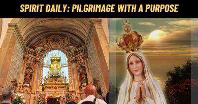 Spirit Daily: “Pilgrimage with a Purpose” –  Fatima, Lourdes Crucial For Our Times, For Our Nation.