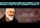 This is why you should consecrate yourself to the Immaculate Heart of Mary according to Padre Pio